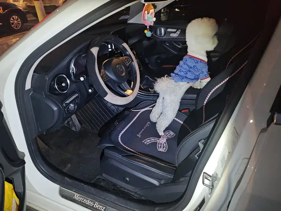 Mercedes-Benz C-Class — миниатюра 8