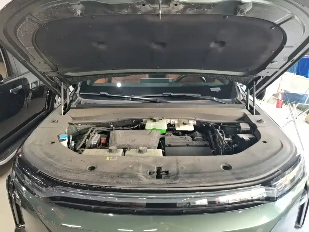 GAC Motor Trumpchi Xiangwang S7 — миниатюра 20