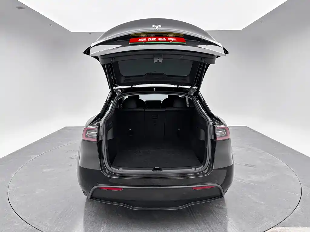 Tesla Model Y — миниатюра 9