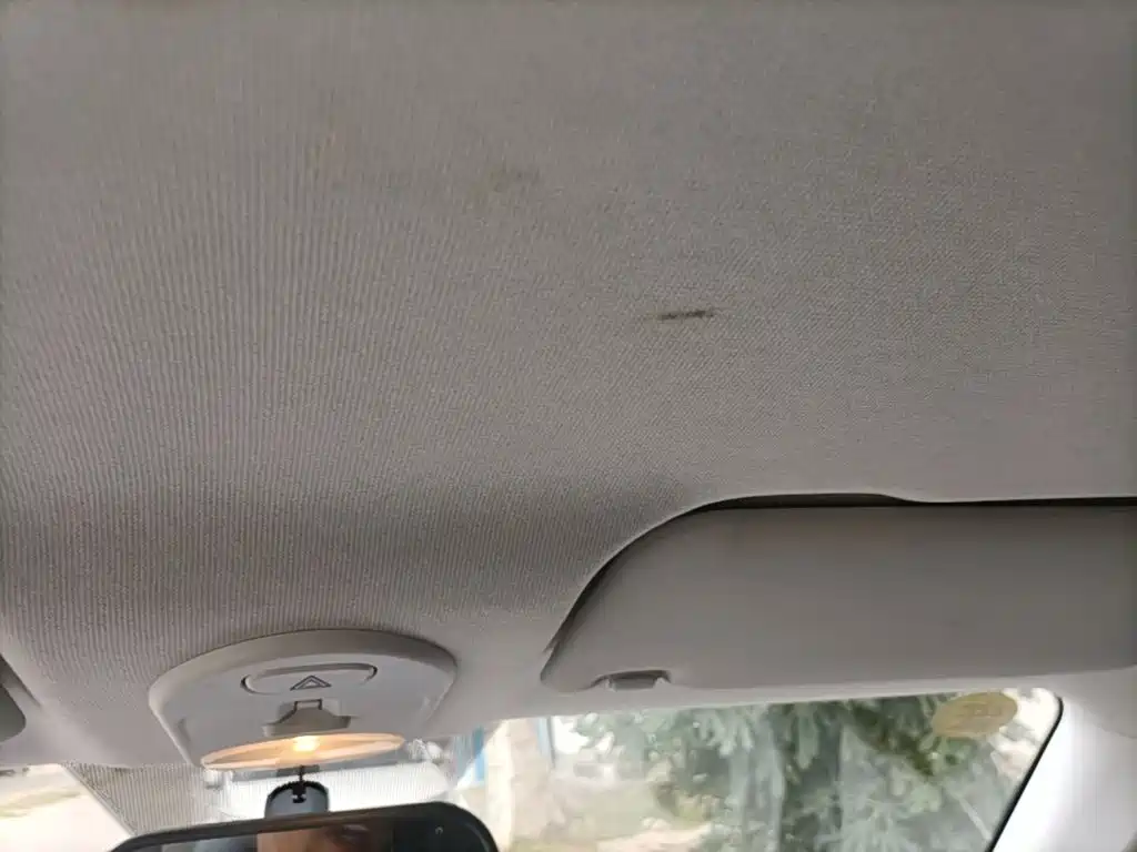 Bestune Pony — миниатюра 18