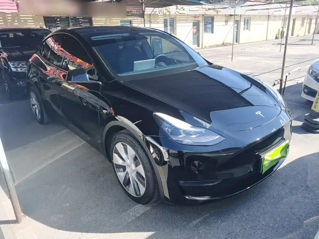 Tesla Model Y — миниатюра 4