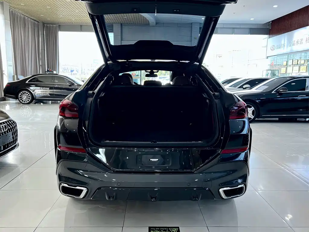 BMW X6 — миниатюра 22