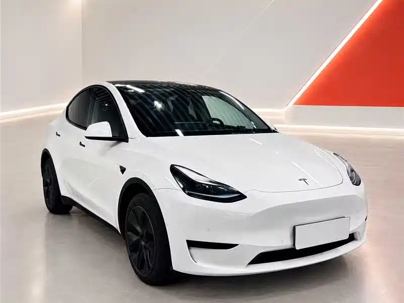 Tesla Model Y — миниатюра 3