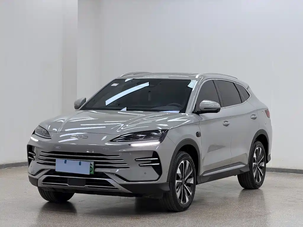 BYD SONGJIANG NEW ENERGY