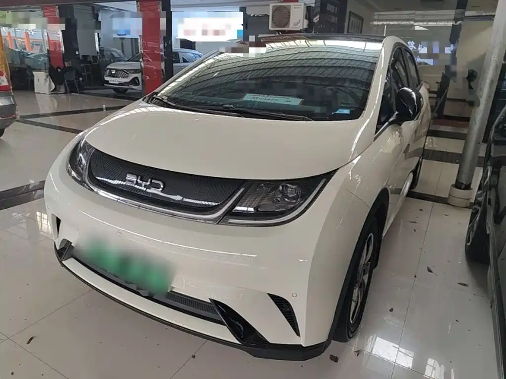 Byd Dolphin 2024