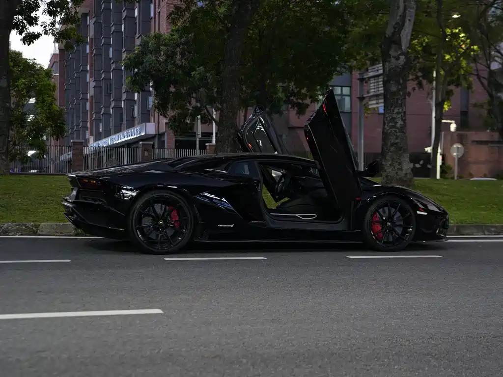 Lamborghini Aventador — миниатюра 12