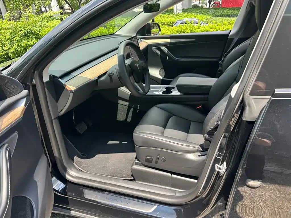 Tesla Model Y — миниатюра 4