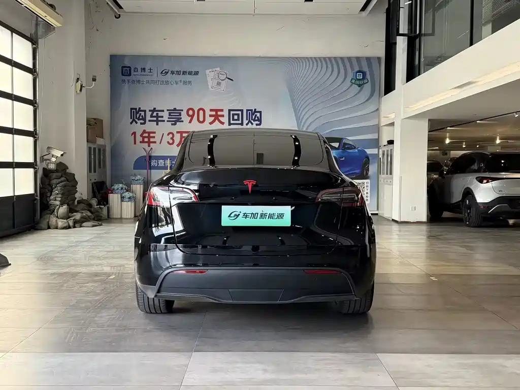 Tesla Model Y — миниатюра 7