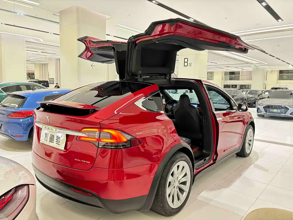 Tesla Model X — миниатюра 4