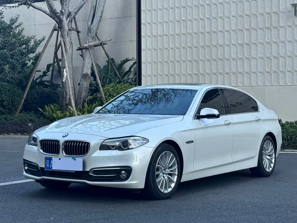 BMW 5 Series 2015