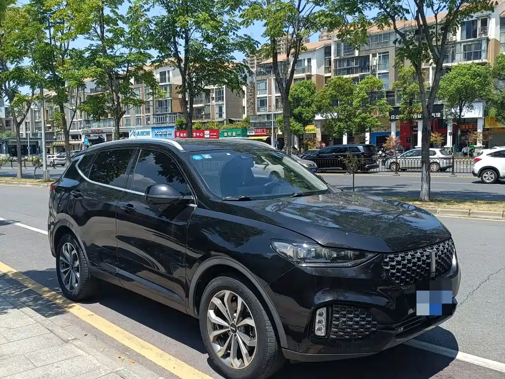 WEI PAI WEI BRAND VV6