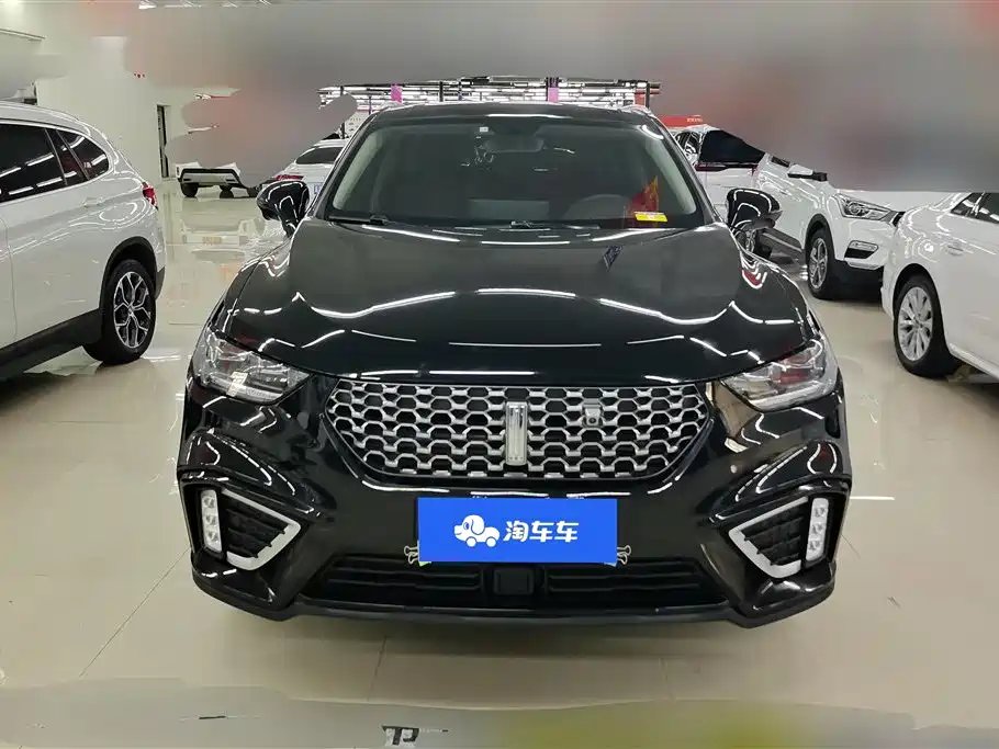 WEI PAI WEI BRAND VV5