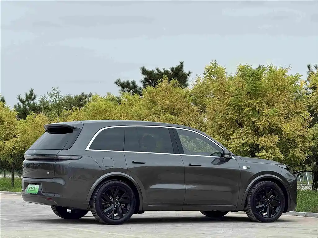Li Auto Li L8 — миниатюра 29