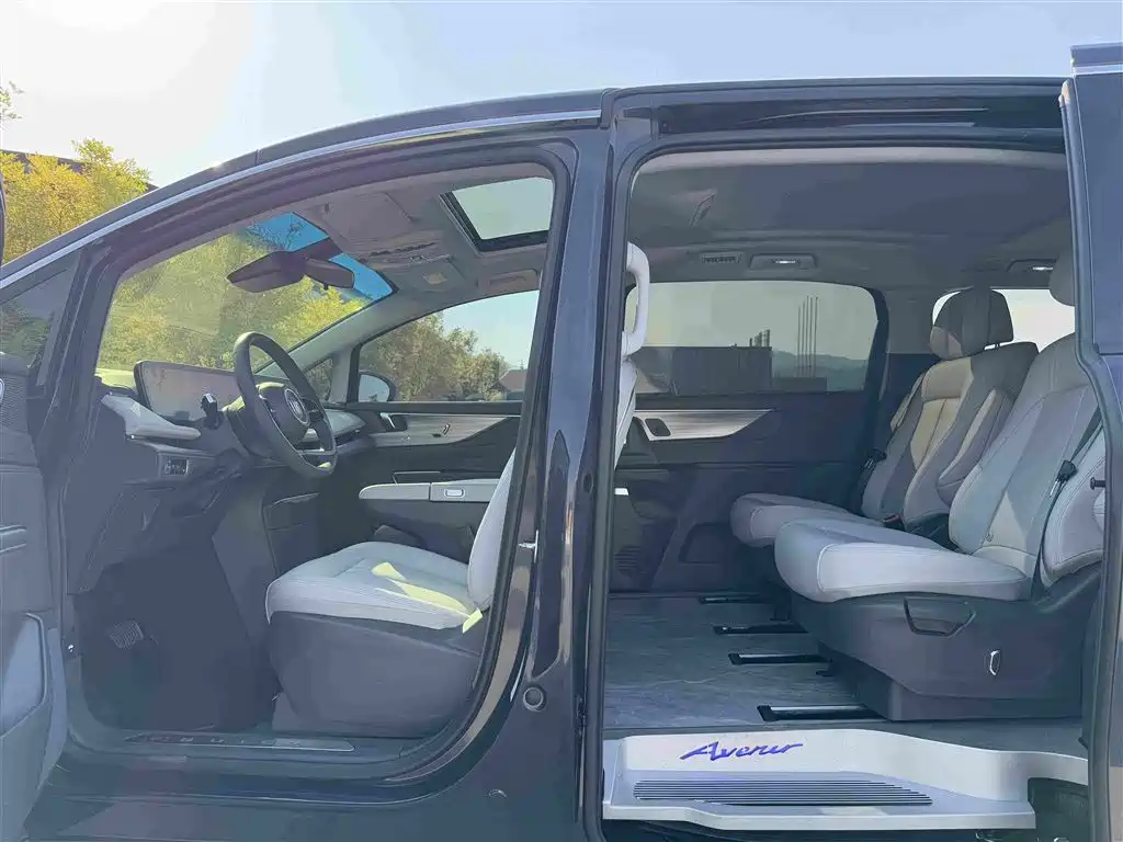 Buick GL8 — миниатюра 10