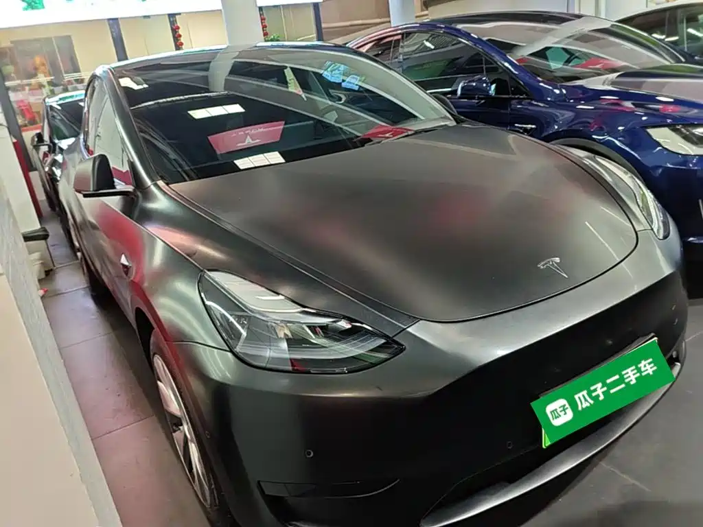 Tesla Model Y — миниатюра 4