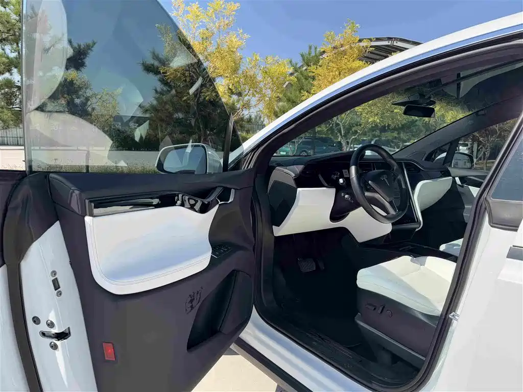 Tesla Model X — миниатюра 5