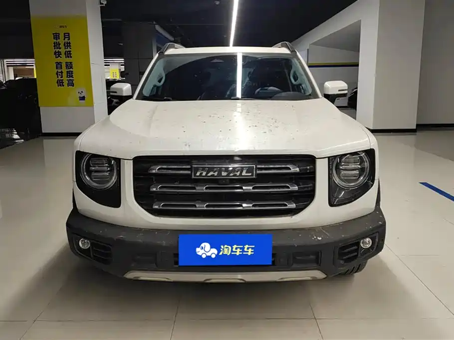 HAVAL BIG DOG