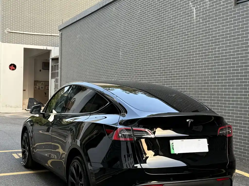 Tesla Model Y — миниатюра 10
