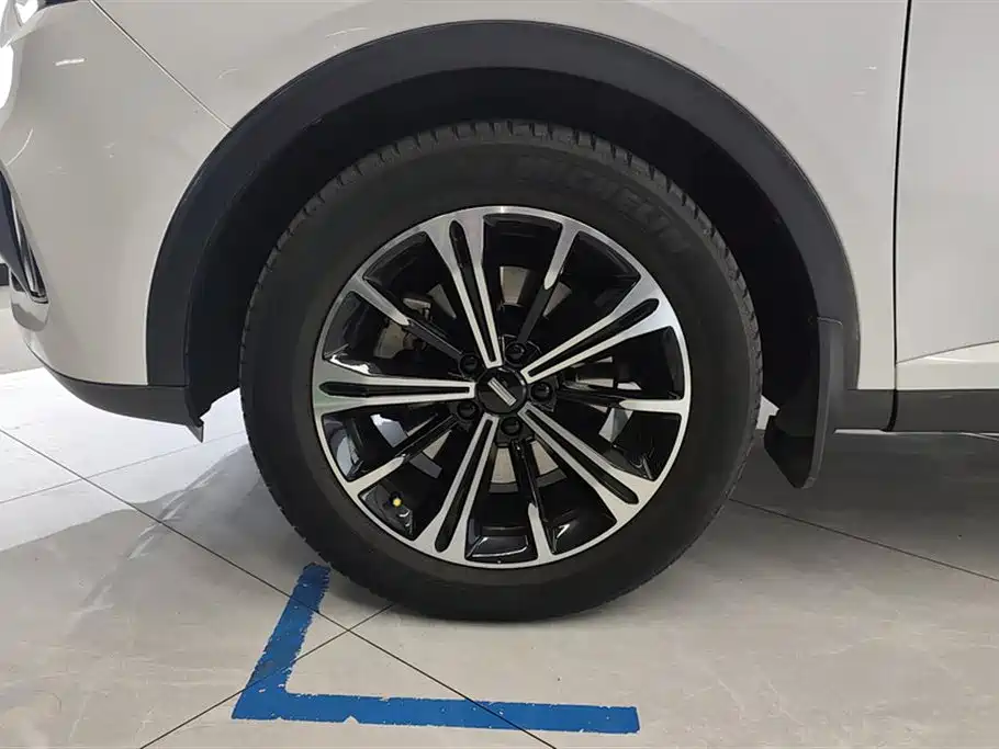 Wey VV6 2021 2.0T +