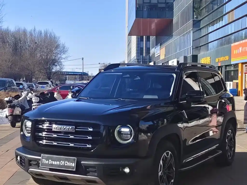 HAVAL BIG DOG