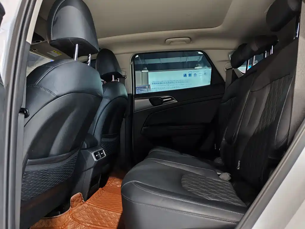 KIA LION PLATINUM EXPANDS THE WORLD