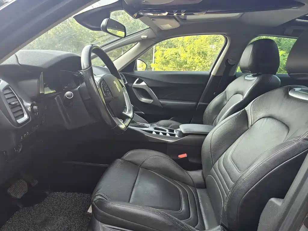 DS 5 1.6T Luxury Edition THP160, фото 5