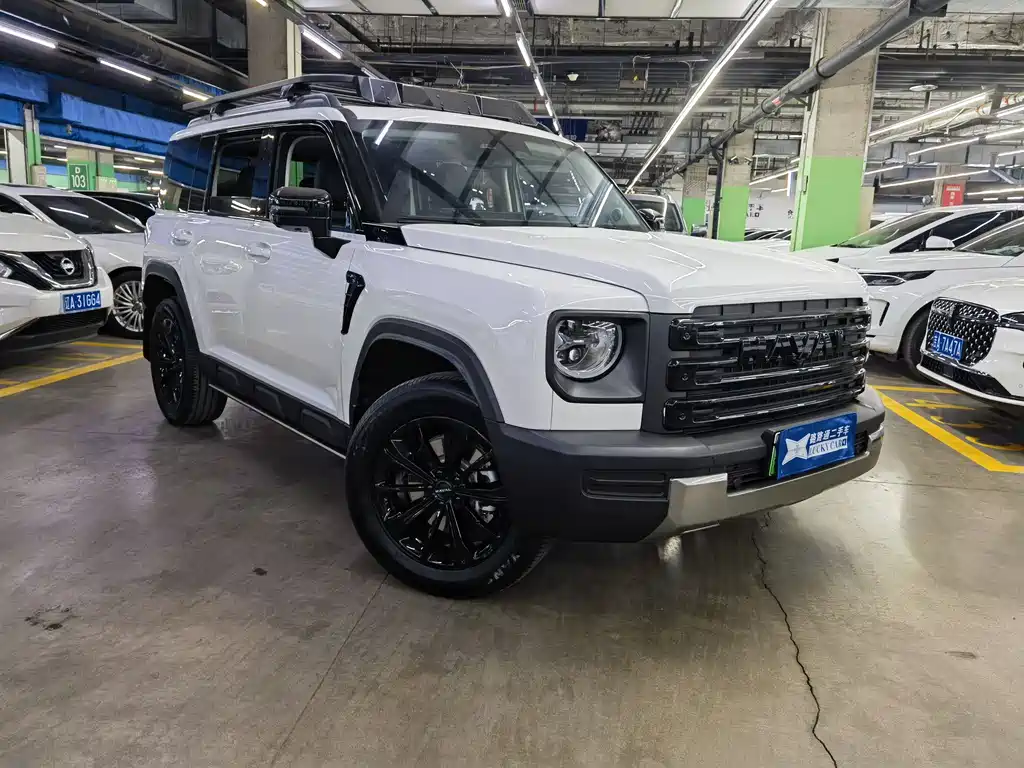 HAVAL RAPTORS NEW ENERGY