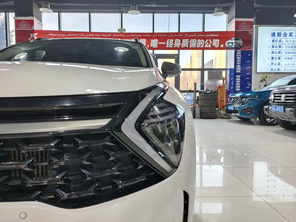 KIA LION PLATINUM EXPANDS THE WORLD