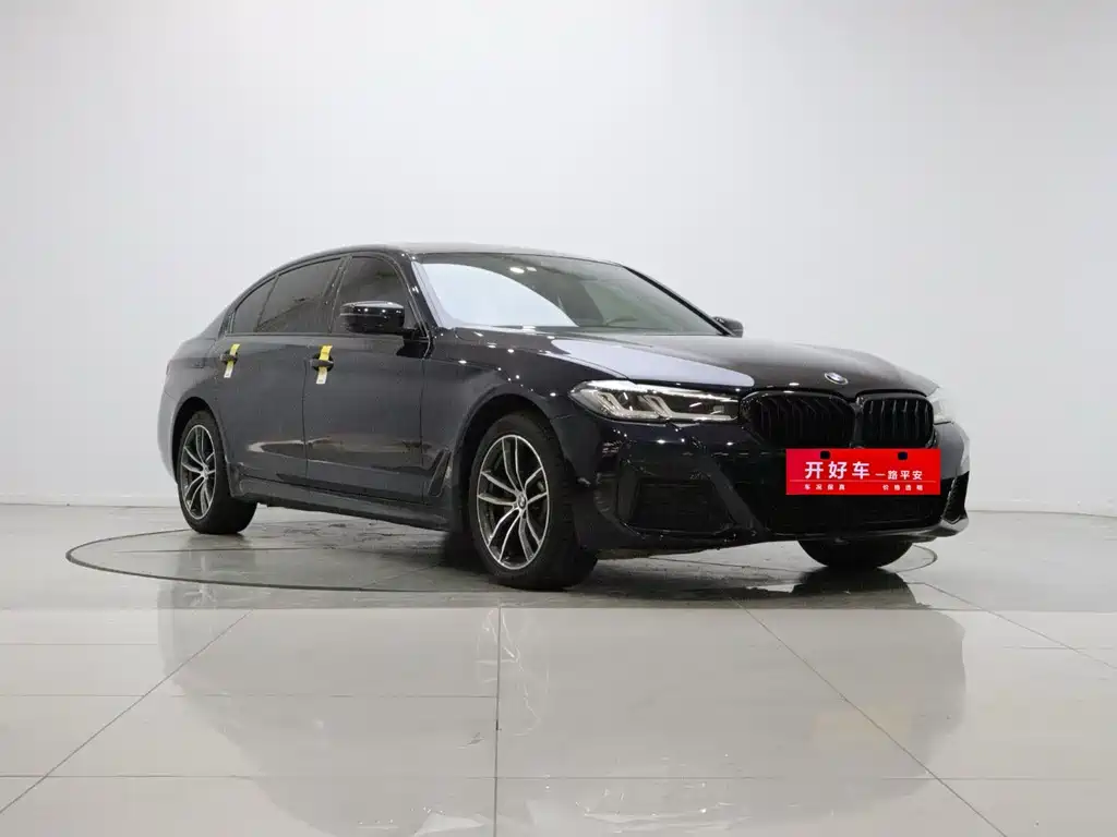 BMW 5 Series — миниатюра 3