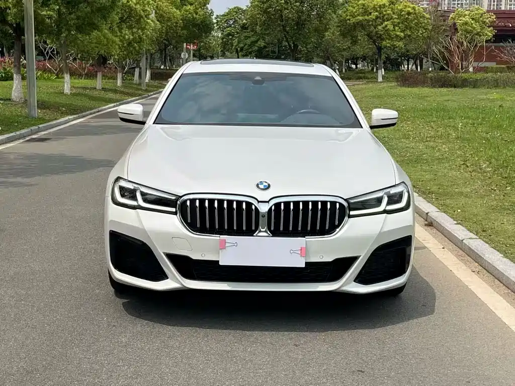 BMW 5 Series 5 2021 530Li Premium M Sport