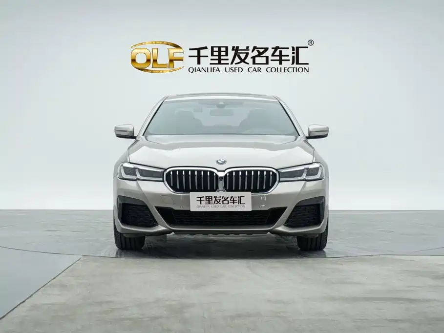 BMW 5 Series — миниатюра 5