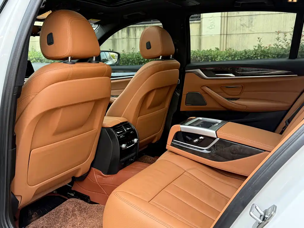 BMW 5 Series 5 2018 530Li Premium M Sport