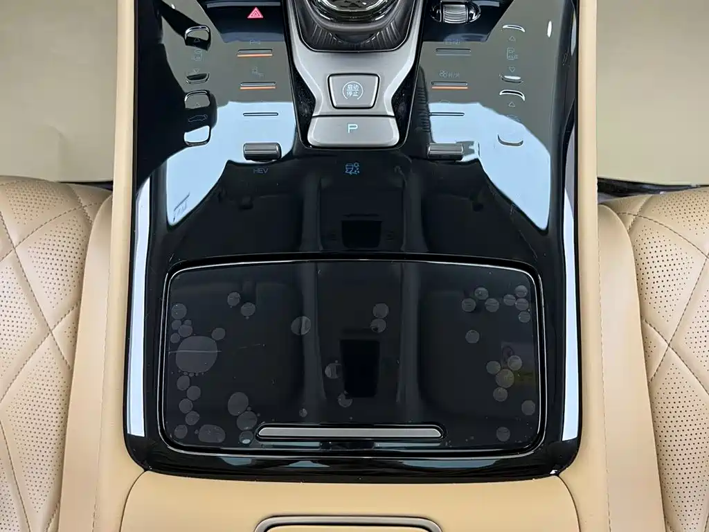 Denza Denza D9 — миниатюра 31