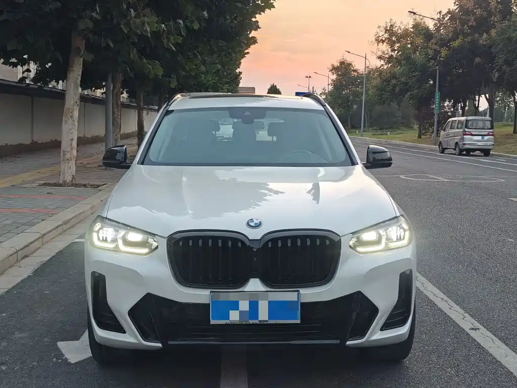BMW X3 — миниатюра 2