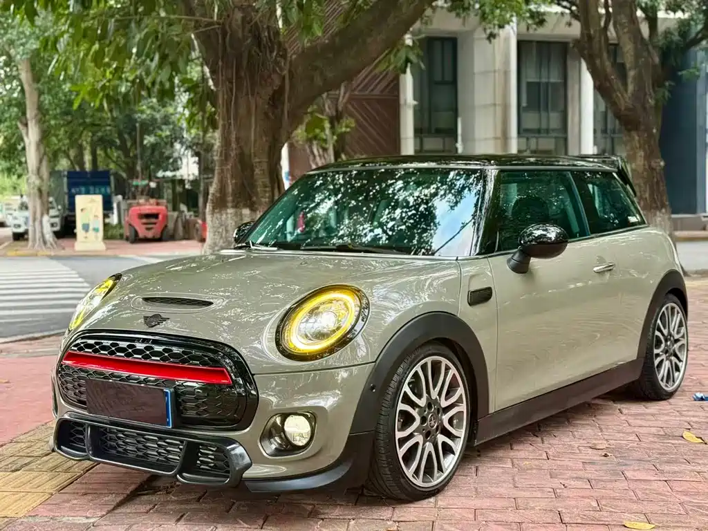 Mini Mini 2019
