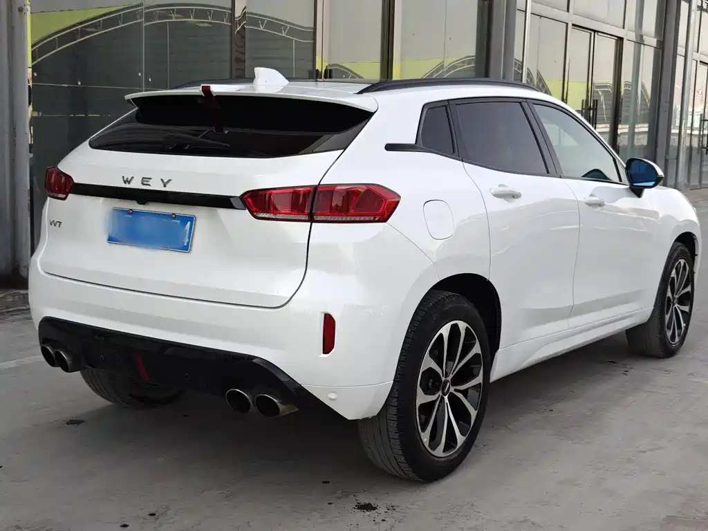 WEI PAI WEI BRAND VV7