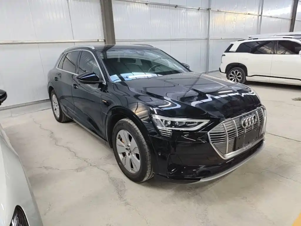 Audi e-tron (Import) — миниатюра 4