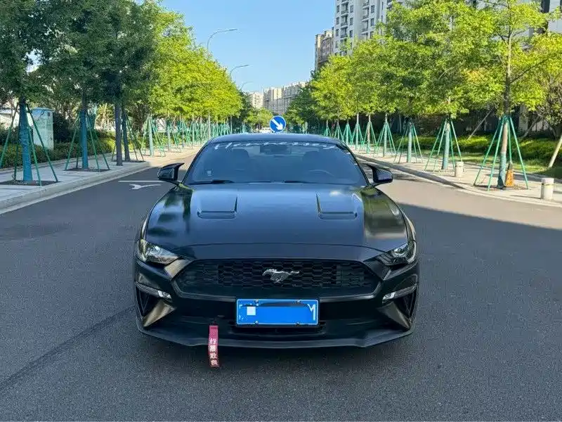 Ford Mustang — миниатюра 2