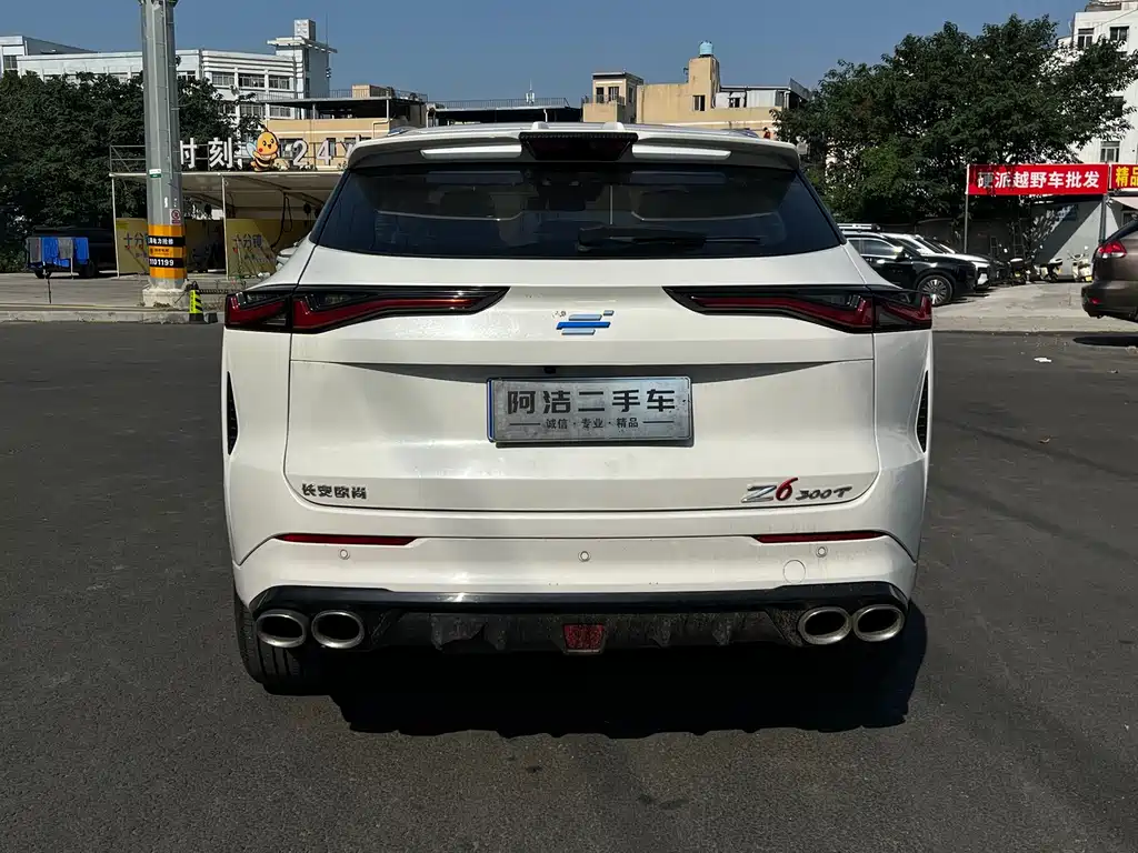 Oshan Oushang Z6 — миниатюра 6