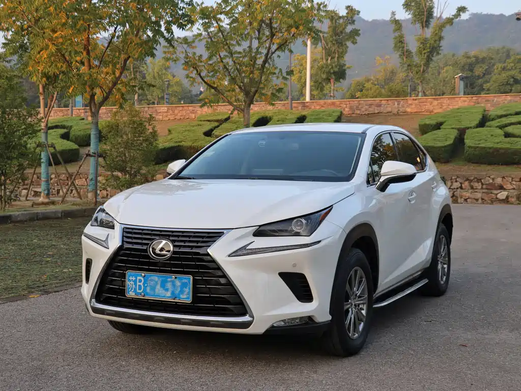 Lexus NX — миниатюра 2