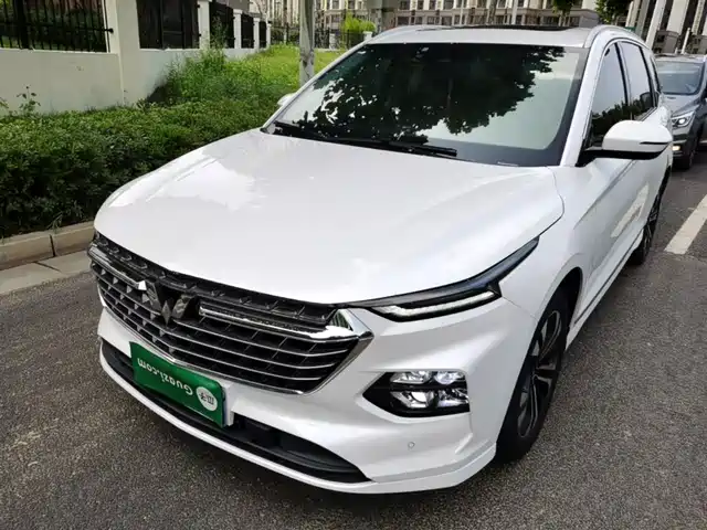 2022 Wuling Motors Victory