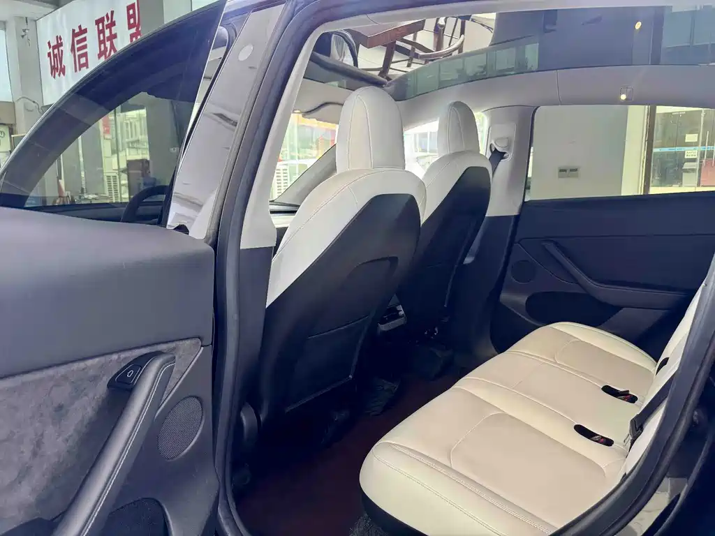 Tesla Model Y — миниатюра 3