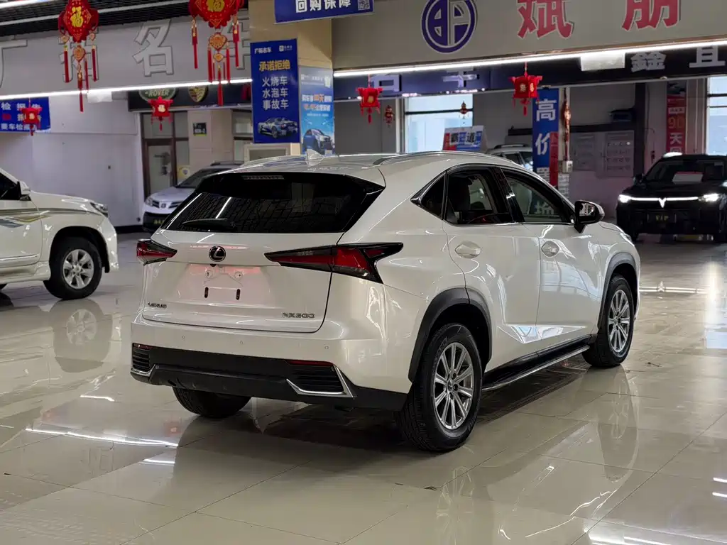 Lexus NX — миниатюра 9