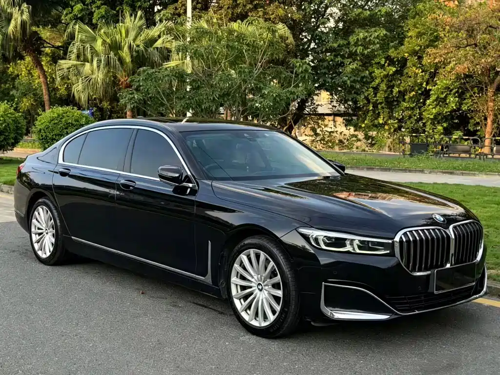 BMW 7 Series 7 2019 730Li Luxury