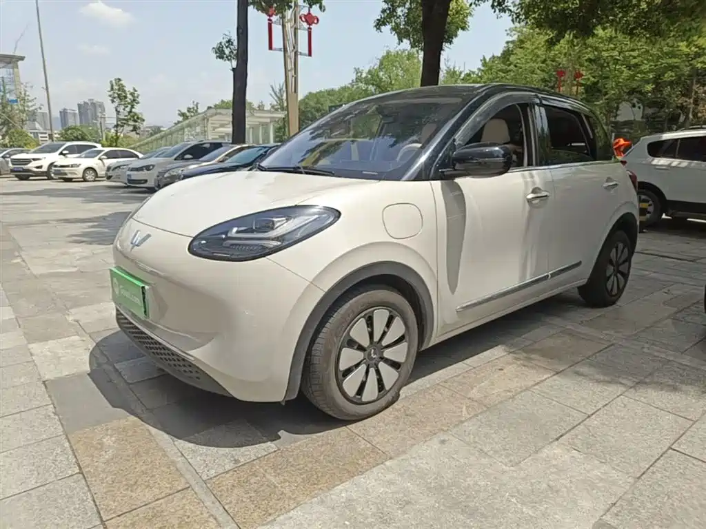 Wuling Bingo 2024