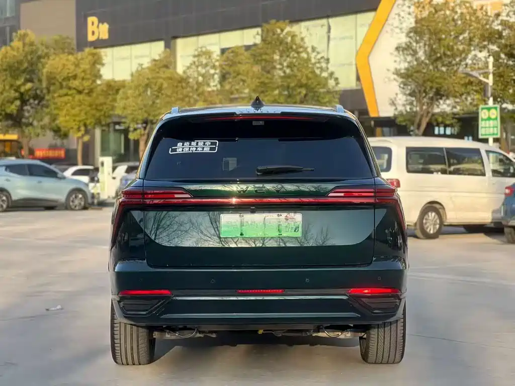 WEI PAI WEI BRAND BLUE MOUNTAIN