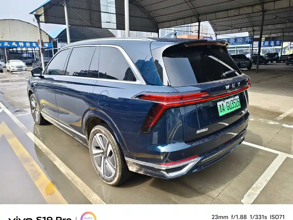 WEI PAI WEI BRAND BLUE MOUNTAIN