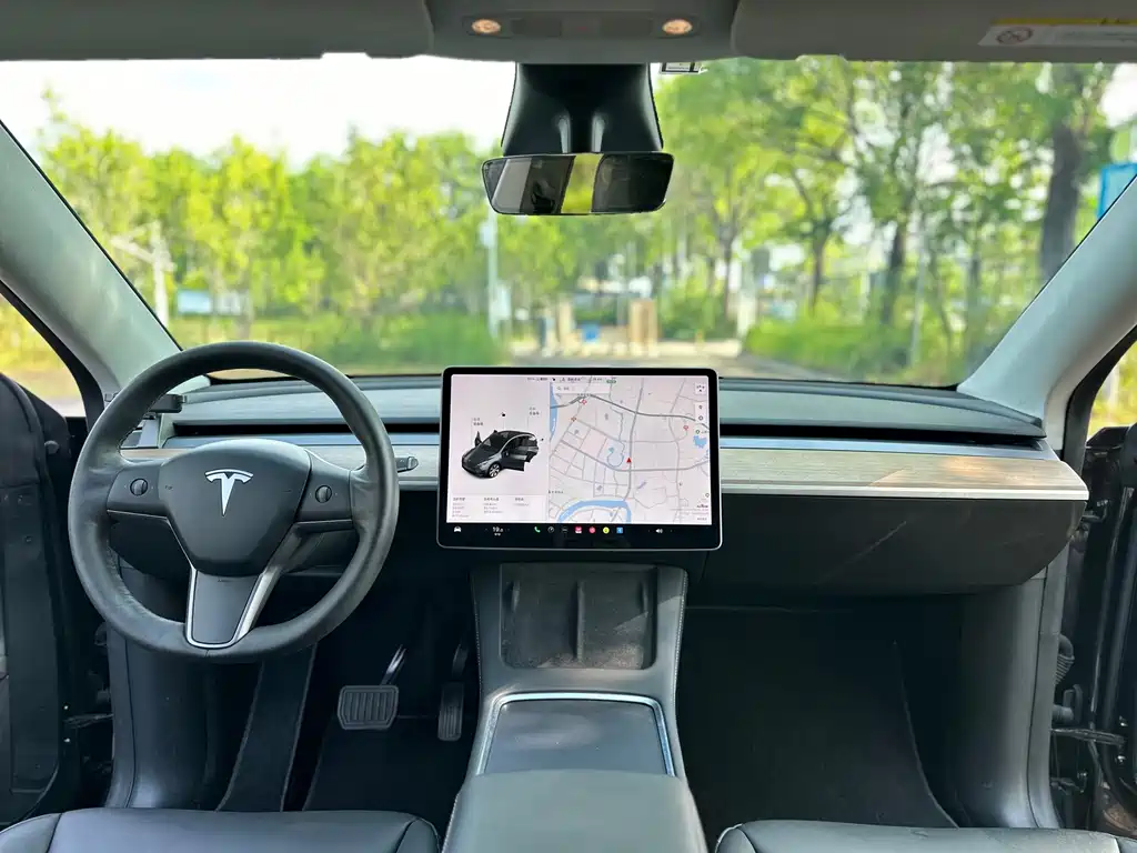 Tesla Model Y — миниатюра 13