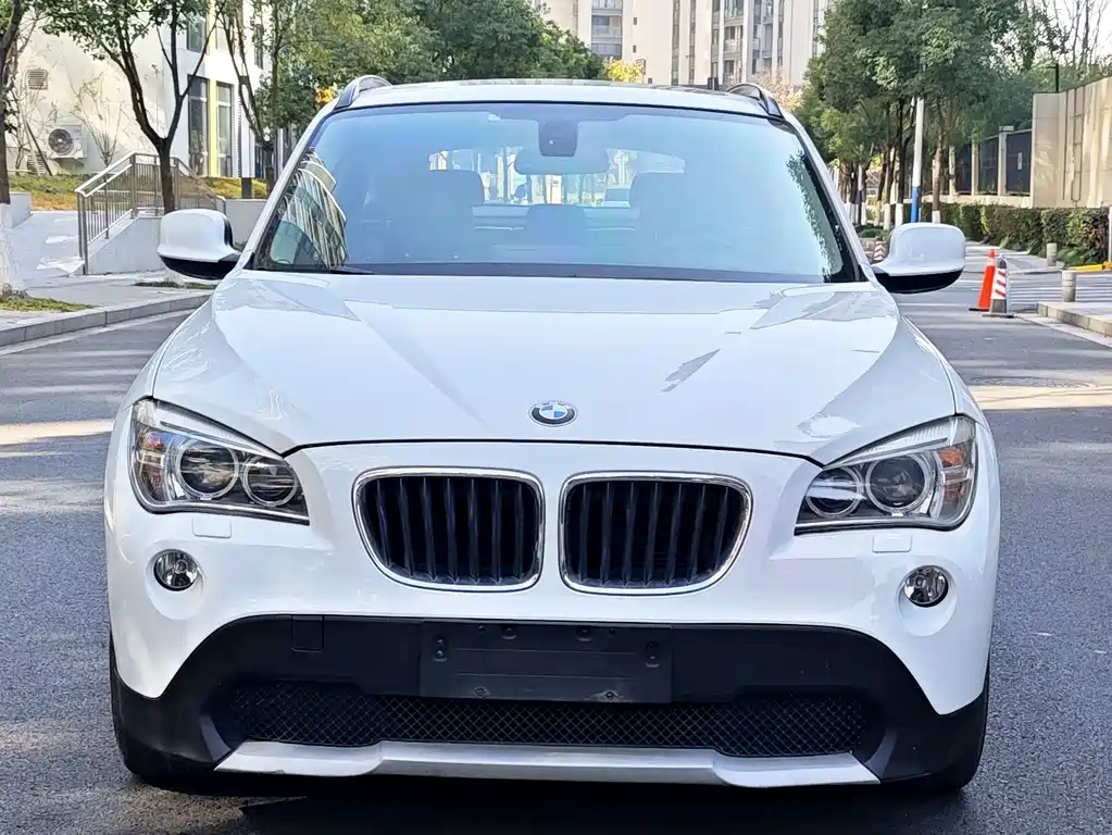 BMW X1 (Import) xDrive25i, фото 7