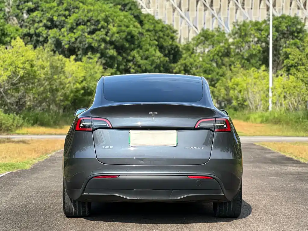 Tesla Model Y — миниатюра 7